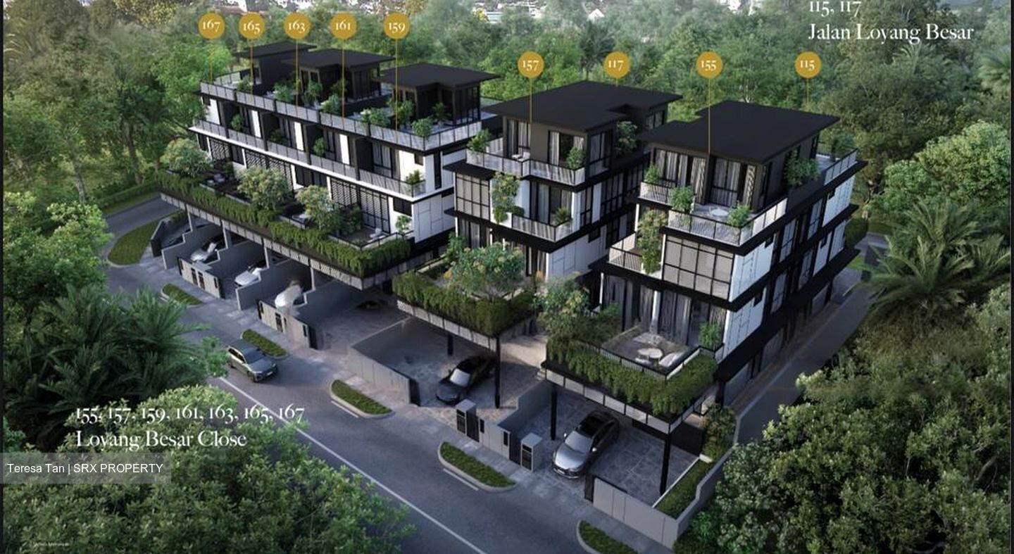 Jalan Loyang Besar (D17), Terrace #482553981